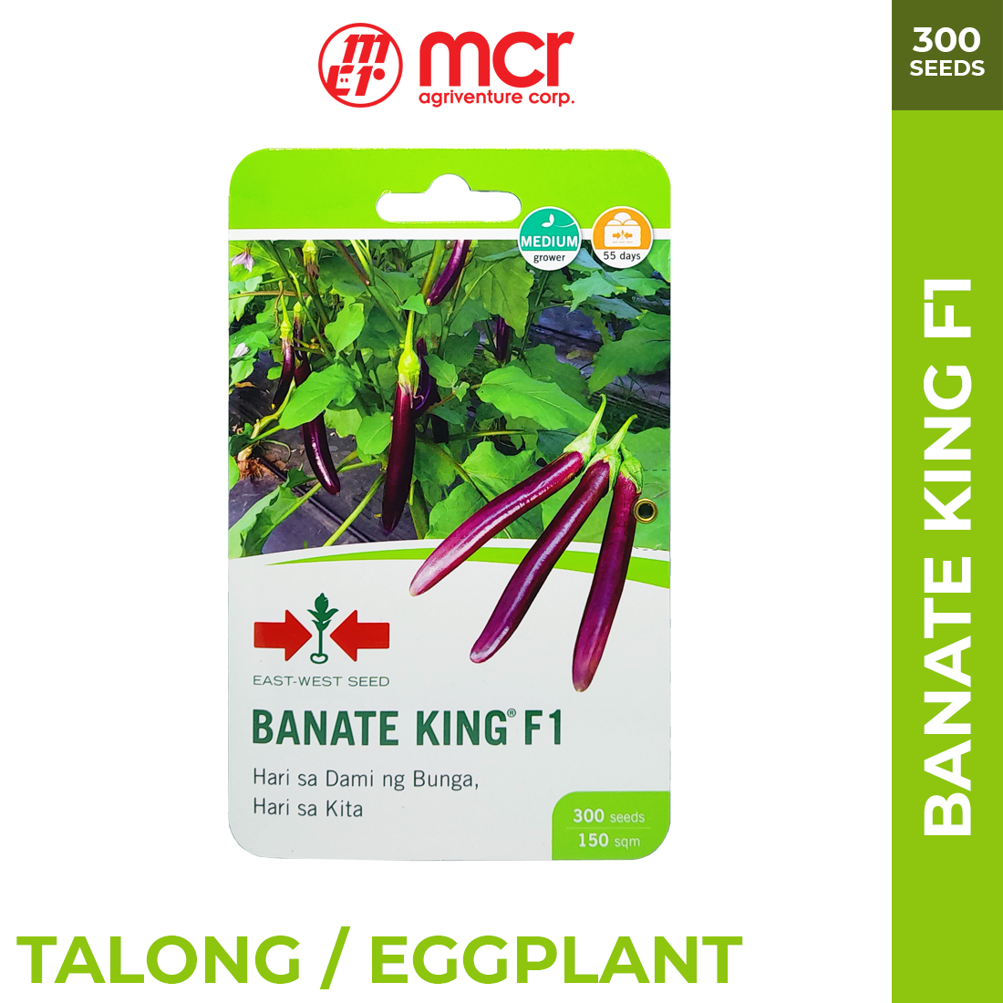 Banate King - Talong/Eggplant